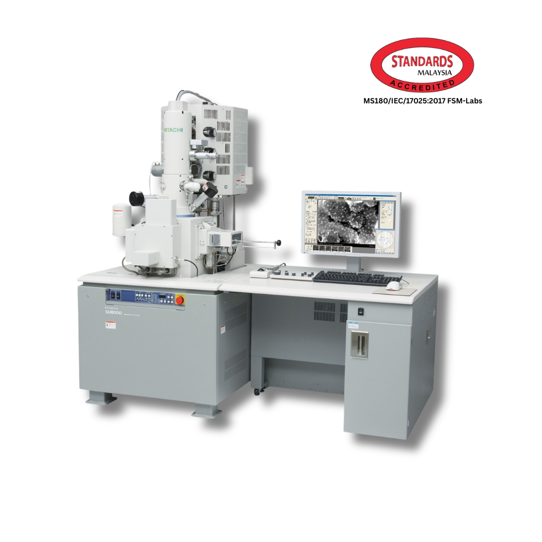 Field Emission Scanning Electron Microscope (FESEM)